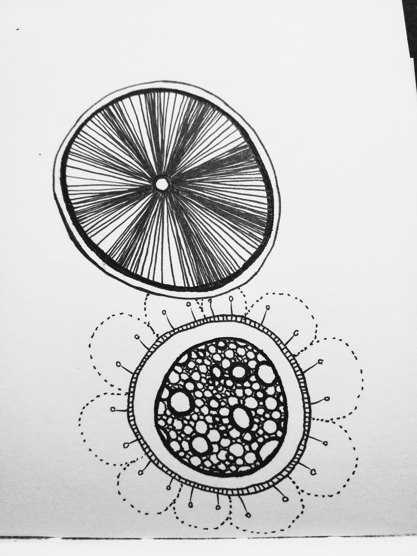 Esquisse — sketch 01